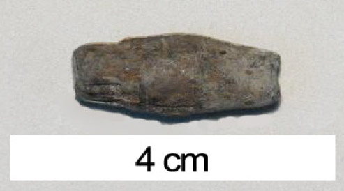 Figura 2. Plomada hallada en el sitio Nazca 313