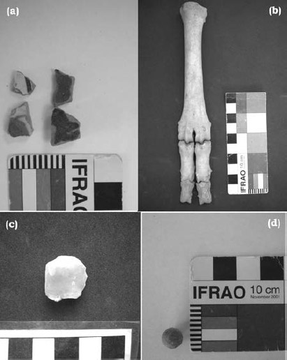 Figura 12. Materiales arqueológicos recuperados en las excavaciones. a) mayólica y cerámica roja; b) metapodio y falanges de Ovis sp., c) raspador de calcedonia y d) munición de plomo