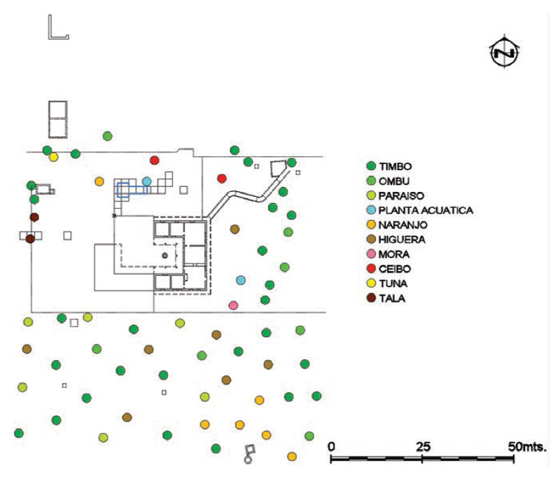 Figura 13: Distribución de los árboles que permite deducir los diferentes usos del espacio.