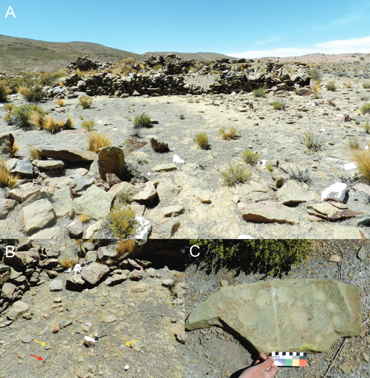 Figura 3. A: vista general de uno de los espacios delimitados en TC 2 para procesamiento de cuarzo; B: herramientas y piedras percutidas, las flechas negras indican restos de cuarzo; las amarillas, herramientas líticas, y la roja, una roca percutida; C: vista de roca plana con superficie percutida