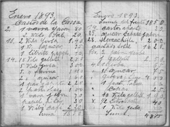 Figura 4. Gastos del inmigrante alemán Hermann Simonn y su familia