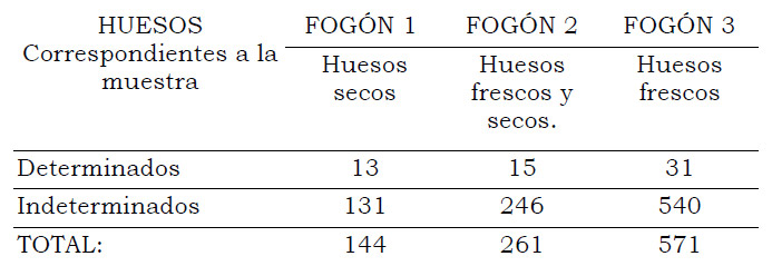 Tabla 6. Porcentaje de huesos determinados e indeterminados, por fogón