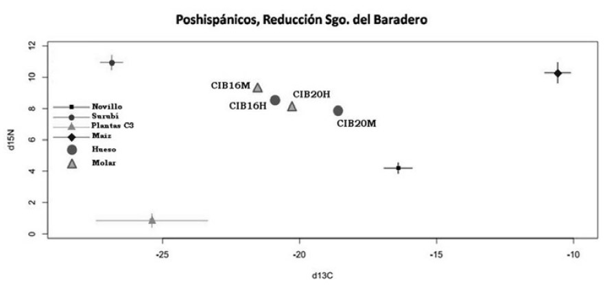 Figura 2: Gráfica de 15N vs 13C de los individuos analizados y los componentes dietarios considerados