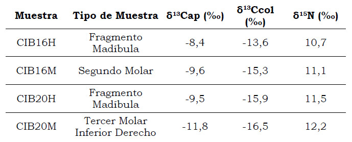 Tabla 4: Datos isotópicos de huesos y molares