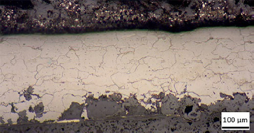 Figura 5. Microestructura de la Muestra 1