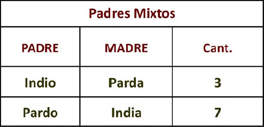 Tabla 3. Bautismos con padres mixtos
