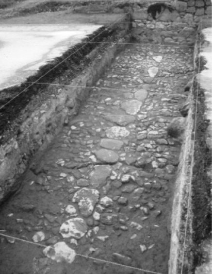 Figura 18. Cala realizada bajo el asfalto de la Avenida Nacional en 2009 con el objetivo de mostrar el sistema constructivo del piso del Albarradón de Ecatepec