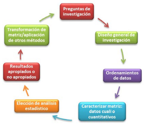 Figura 1. Esquema básico de retroalimentación generado al incorporar a la investigación herramientas estadísticas