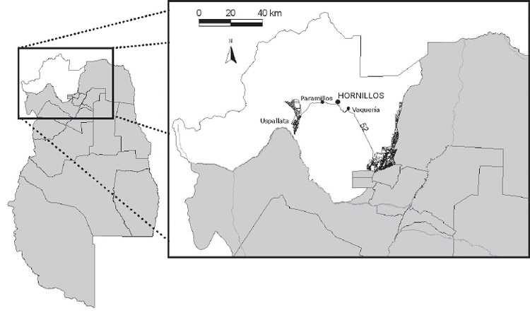 Figura 1. Localización del sitio Los Hornillos (provincia de Mendoza)