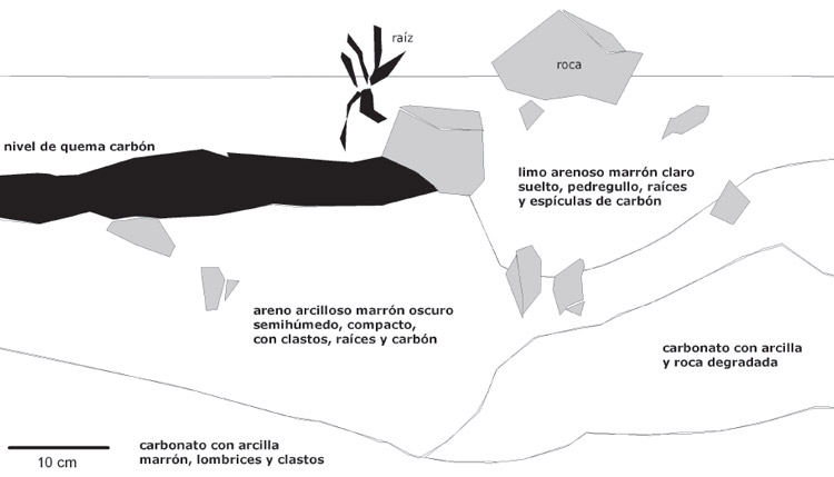 Figura 7. Estratigrafía del sondeo 2 de la habitación 2