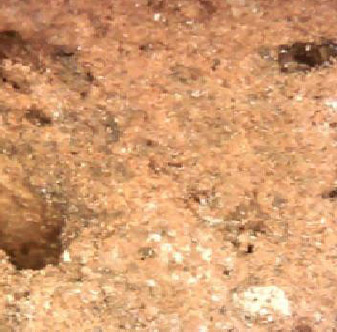 Figura 4. Foto microscópica de ladrillo del sitio Rodríguez Visillac (F93.5)