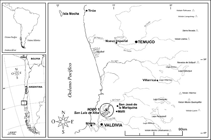 Figura 1. Área que comprende los antecedentes expuestos y primer nodo de trabajo. En gris, polígono que conforman los registro arqueológicos con materiales líticos analizados, de prospecciones y sondeos(mapa elaborado por Andrea Gaete)