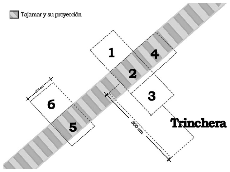 Figura 5. Plano con la distribución de las unidades de excavación en relación a la estructura