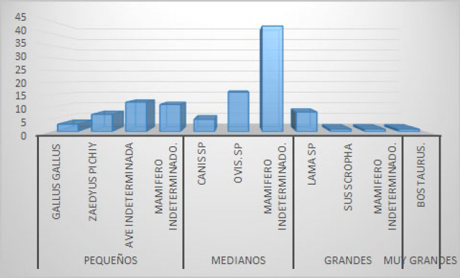 Figura 3: reconocimiento taxonómico del sector PNO por NISP (nivel 290-300 cm)