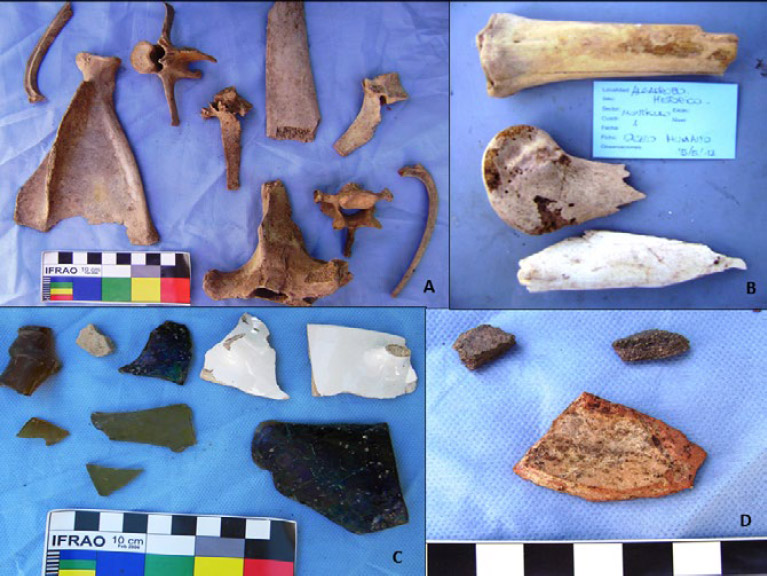 Figura 5.a. Material óseo animal; b. Material óseo humano; c. Material vítreo, cerámica y loza de uso doméstico; d. Material cerámico con resabios de técnicas indígenas