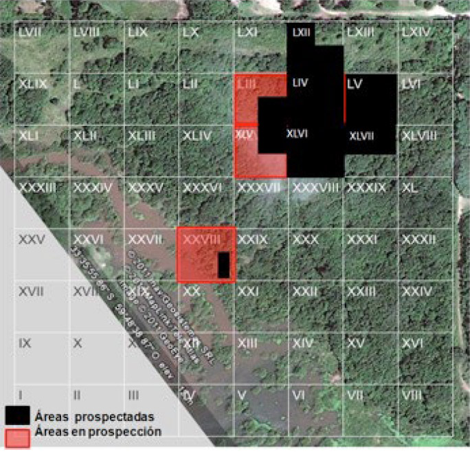 Figura 10. Recorte de imagen satelital del sitio con la zona donde se localizaría el campamento argentino de 1845. Se indican con números romanos los cuadrantes donde se realizan las prospecciones desde 2011. Se indican prospectados (negro) y los que están proceso (rojo)