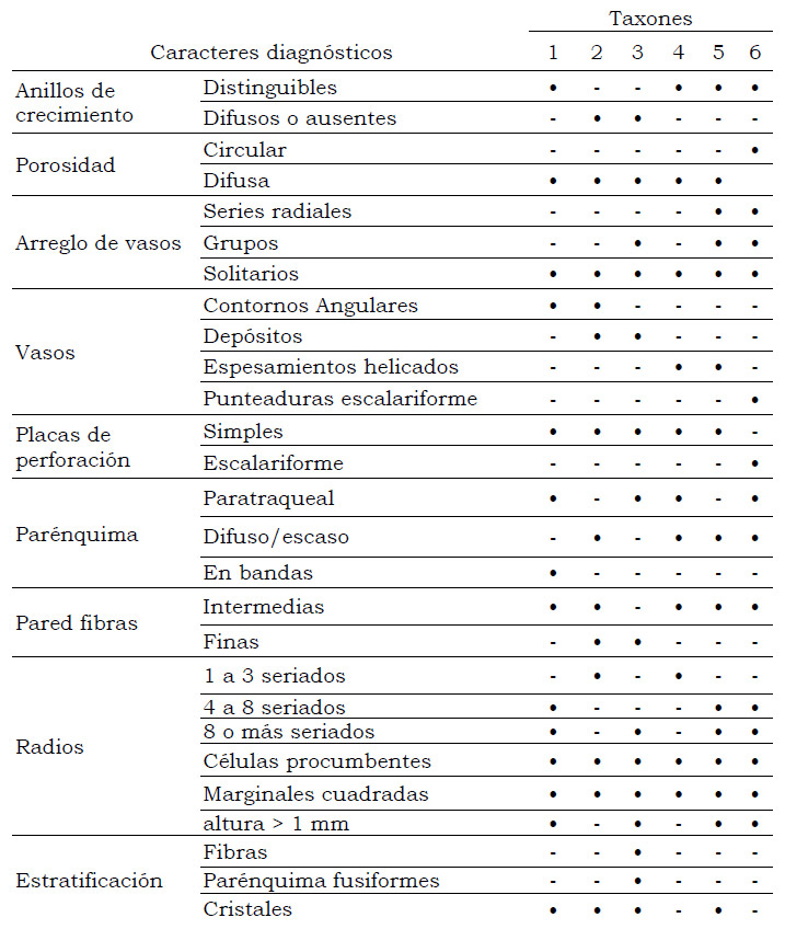 Tabla 1. Caracteres diagnósticos para la identificación de los taxones: 1-Higuera (Ficus carica), 2-Olivo (Olea europaea), 3-Tamarindo (Tamarix gallica), 4-Membrillero (Cydonia oblonga), 5-Duraznero (Prunus persica), 6-Vid (Vitis vinifera)