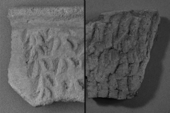 Figura 5. Fragmentos de la Cerámica Local (fotos de Haro)