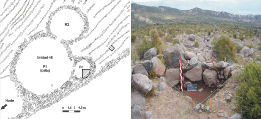 Figura 3. Planta de la U48, con el detalle de la cuadrícula excavada (extraído de Lanzelotti 2012)