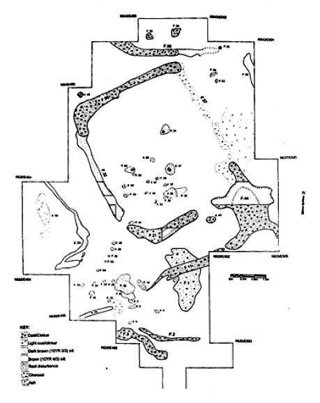 Figura 4. Excavación de una plataforma de carpa en el sitio Masacre Ludlow