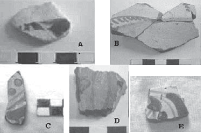Figura 4. Variedad de mayólicas importadas. A. Mayólica europea Azul Blanco. B. Mayólica Andina Marrón/Amarillo. C. Mayólica Andina Azul/Blanco. D. Mayólica Andina Policroma. E. Mayólica Panamá Azul/Blanco