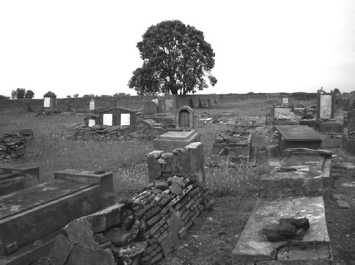 Figura 4. Vista de la parte antigua del cementerio. Se observan varias tumbas rectangulares y en primer plano una tumba de forma “medio cañón”, deteriorada al haber perdido su revoque (foto de los autores)