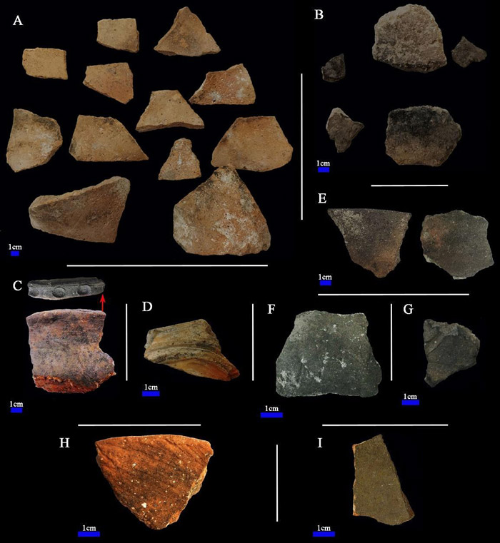Figura 7. A. Naranja Alisado/Pulido. B. Gris Marrón Alisado. C. Marrón Rojizo Impreso. D. Naranja Rojizo Alisado/Pulido. E. Marrón Alisado/Pulido. F. Gris Inciso Fino. G. Gris Inciso Grueso. H. Marrón Rojizo Inciso Fino. I. Naranja Vidriado