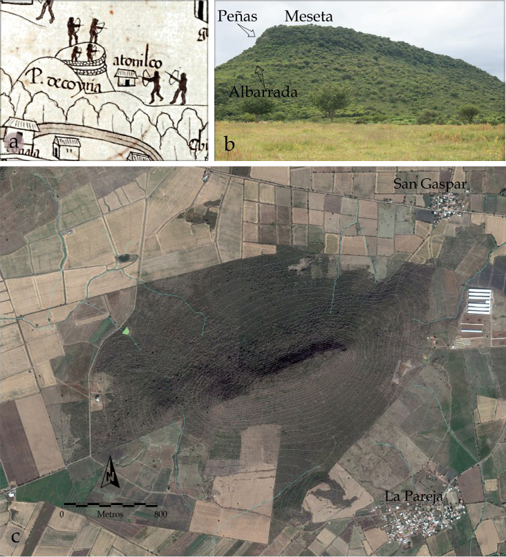 Figura 4. Cerro de Proaño; a: detalle del Mapa de Nueva Galicia donde muestra el Peñol de Coina; b: fotografía del Cerro de Proaño mostrando los rasgos de defensa militar señalados en las fuentes documentales; c: Imagen satelital mostrando sus dimensiones. 