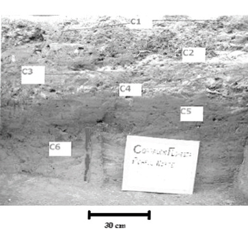 Figura 3. Perfil estratigráfico Sito Corralón de Floresta