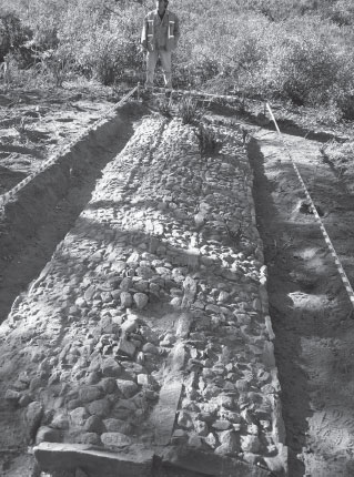 Figura 4. Plataformas adoquinadas transversales al área nivelada entre bordos de aproximadamente 6,20 m de largo y 1,10 m de ancho. Registro luego de desbroce, limpieza del área y excavación