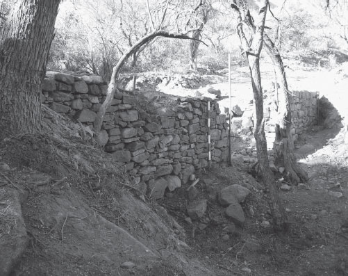 Figura 5. Muro de contención afectado por cárcava de erosión retrocedente. Registro luego de desbroce y limpieza del área