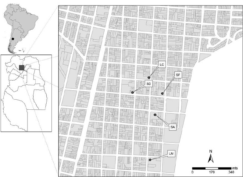 Figura 1. Plano de la ciudad de Mendoza y localización de los templos excavados (LM: La Merced; SF: San Francisco; LC: La Caridad; SA: San Agustín; SD: Santo Domingo).