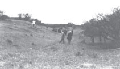 Figura 9. Vista de una rastrillada secundaria en el área de estudio