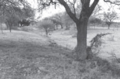 Figura 10. Vista de rastrillada secundaria, Toay