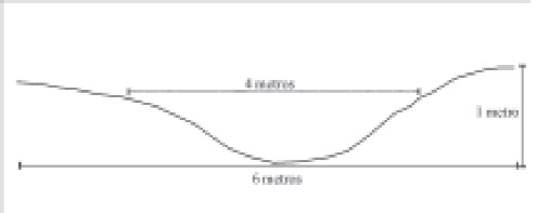 Figura 11. Corte transversal de rastrillada del área