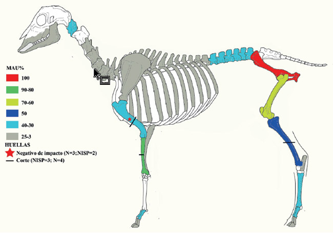 Figura 6. MAU% sobre Ovis aries con ubicación y frecuencia de huellas antrópicas
