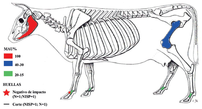 Figura 7. MAU% sobre Bos taurus con ubicación y frecuencia de huellas antrópicas