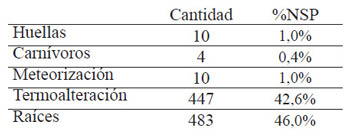 Tabla 3. Alteraciones registradas sobre los restos óseos